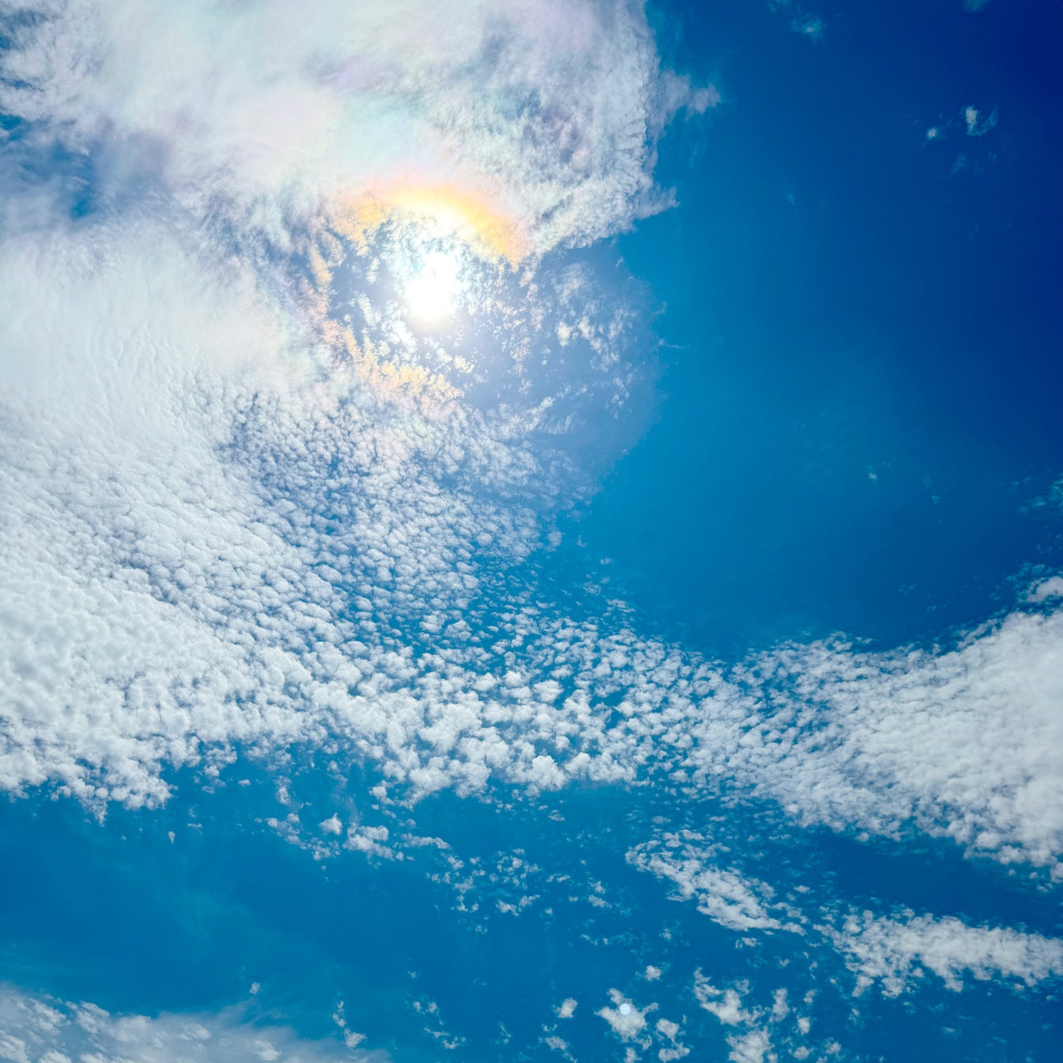 臨時休暇のお知らせ　2024年07月27日～08月1日まで